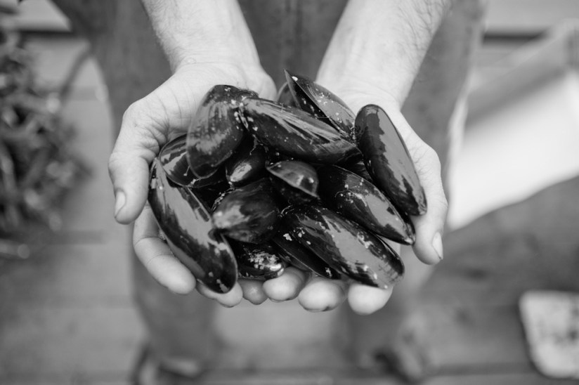 wp_20160117_19_12_53_pro2028229-x2