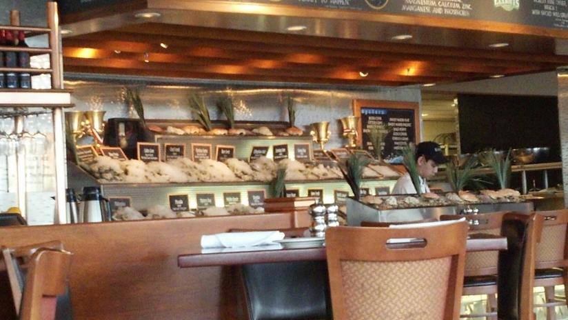 wp_20160117_19_12_53_pro2028229-x2