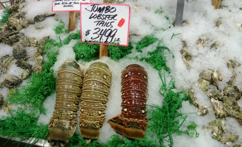 wp_20160117_19_12_53_pro2028229-x2