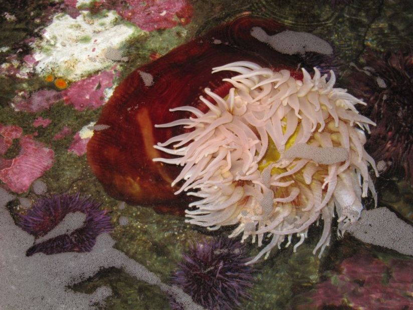 wp_20160117_19_12_53_pro2028229-x2