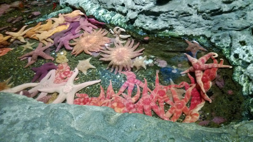 wp_20160117_19_12_53_pro2028229-x2